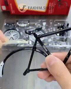 Bicycle Model: Fun to assemble and create for all ages